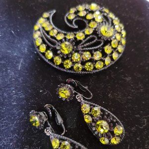 Beautiful Rhinestone Japaned Brooch and Earring Set